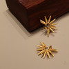 【预售7天，不退不换】良木礼烟花耳环（X7258） 商品缩略图0