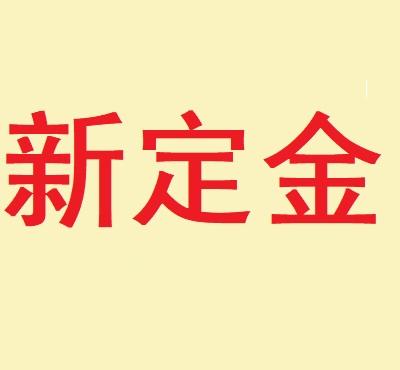新定金 商品图0