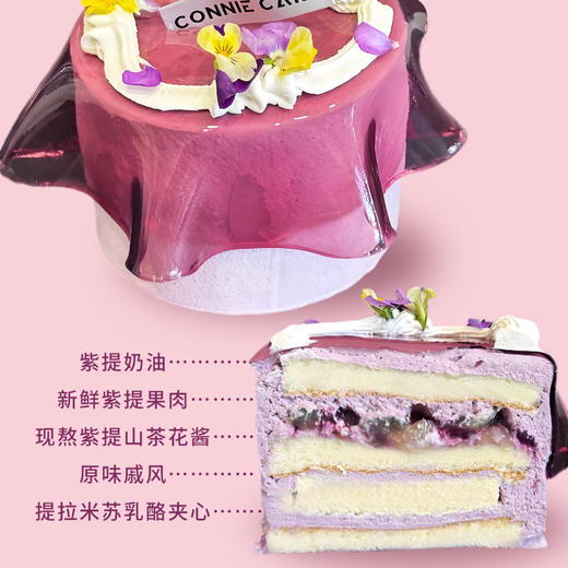 紫提山茶花 商品图1