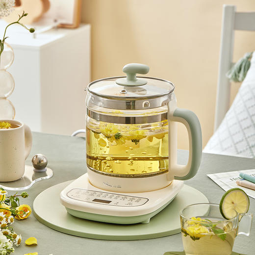 小熊养生壶   YSH-D15T3 商品图1