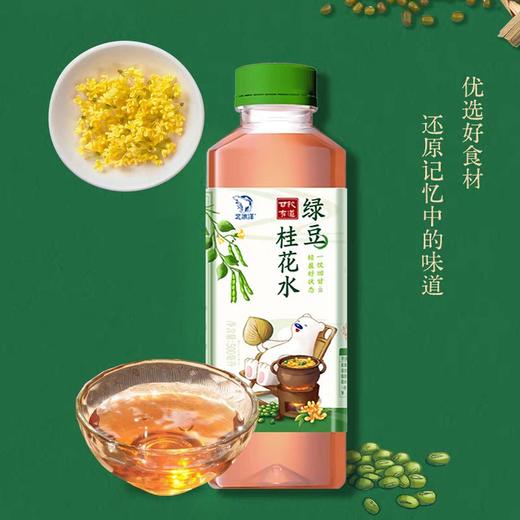 北冰洋甘饮有道绿豆桂花水500g 商品图0