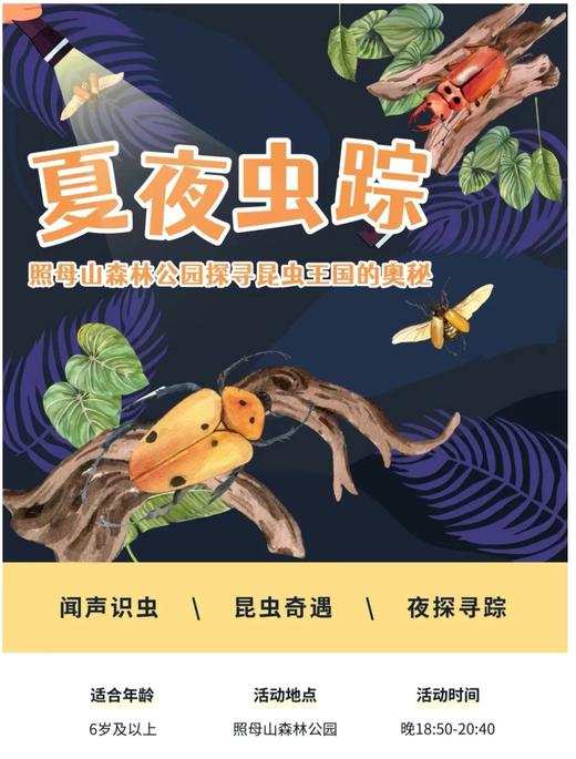 重庆自然资源科普馆 | 【夏夜虫踪】 商品图0
