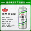 青岛啤酒纯生500ml*12听（炫兔版） 商品缩略图5