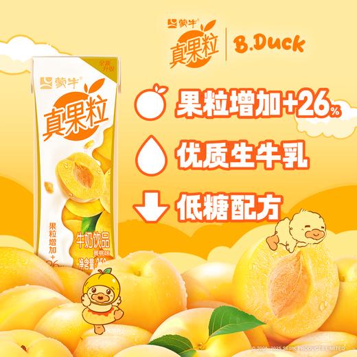 蒙牛 真果粒黄桃果粒250g×12盒 商品图6