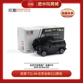 拓意     T21-04    北京全新212黑色