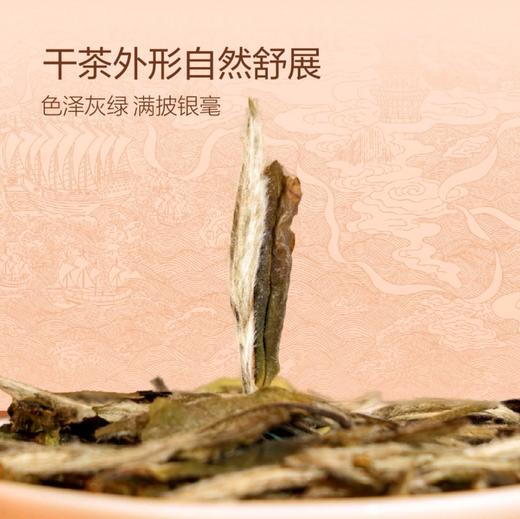 品品香三年陈韵白牡丹200g 商品图3