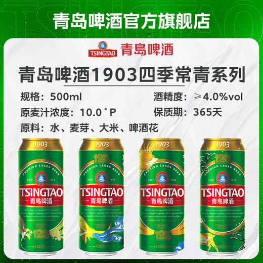 青岛啤酒经典（1903）500ml*18听 商品图5