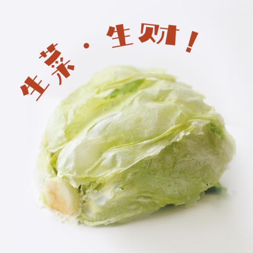 讨口彩的「生菜·生财」柠檬莳萝青苹果味蛋糕  #创意甜品 商品图0