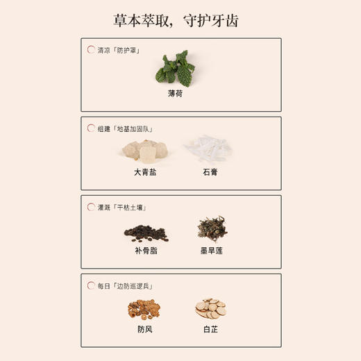 【断货】正安国货·植物洁牙粉 源自经典固齿方 草本萃取守护牙齿 自然清香 商品图1