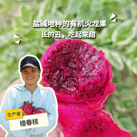 生态花皮火龙果 | 绿家自产 *  Organic saline-alkali land | Self-production