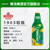 青岛啤酒经典（1903）288ml*18铝罐 商品缩略图2
