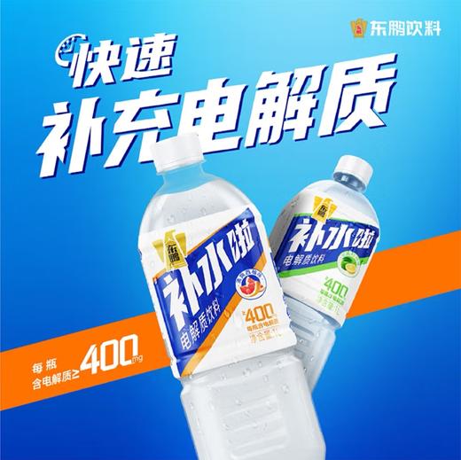 东鹏电解质饮料补水啦清爽柠檬味1L运动必备 商品图2