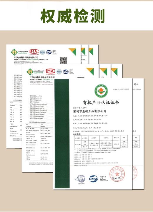 【有机野生红莲子/有机野生白莲子】中国野生荷花之乡，5A洞庭湖畔生态环境保护区。全程生长无人工干预，洞庭水孕育，自然原种野生好莲子 商品图6