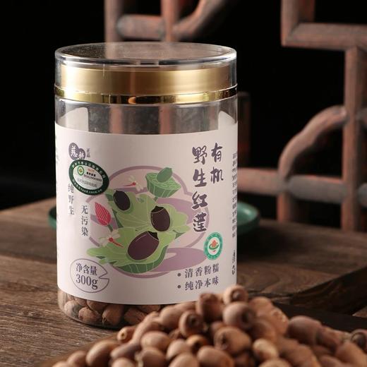 【有机野生红莲子/有机野生白莲子】中国野生荷花之乡，5A洞庭湖畔生态环境保护区。全程生长无人工干预，洞庭水孕育，自然原种野生好莲子 商品图0