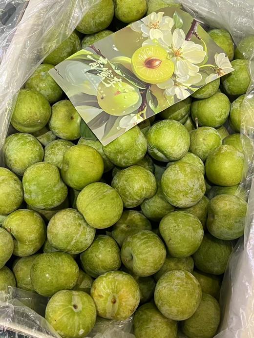 四川高山青脆李（大果） 商品图0