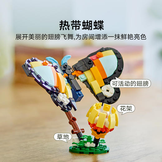 乐高LEGO 野生动物：热带巨嘴鸟LEGC31173 商品图4