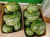 甘美4K西瓜2个 商品缩略图0