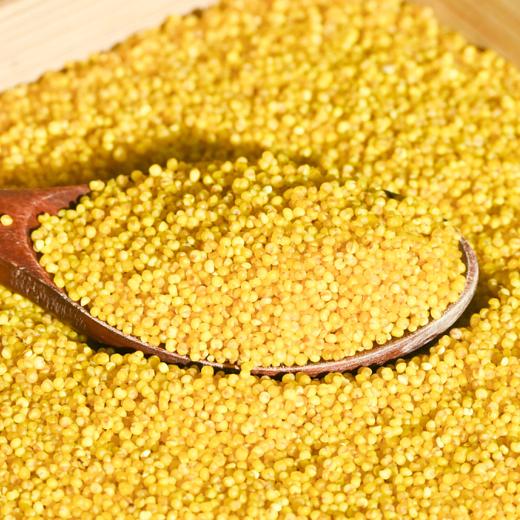 【十堰】十堰供销黄小米500克*2 商品图2