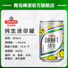 青岛啤酒迷你小罐纯生200ml*24听/箱 商品缩略图3