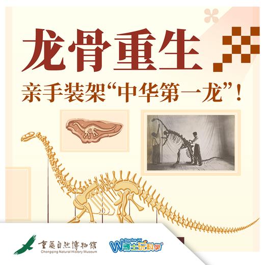 重庆自然博物馆| 龙骨重生 亲手装架“中华第一龙” 商品图0