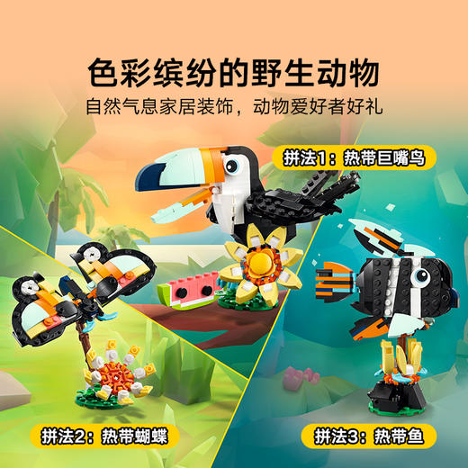乐高LEGO 野生动物：热带巨嘴鸟LEGC31173 商品图2
