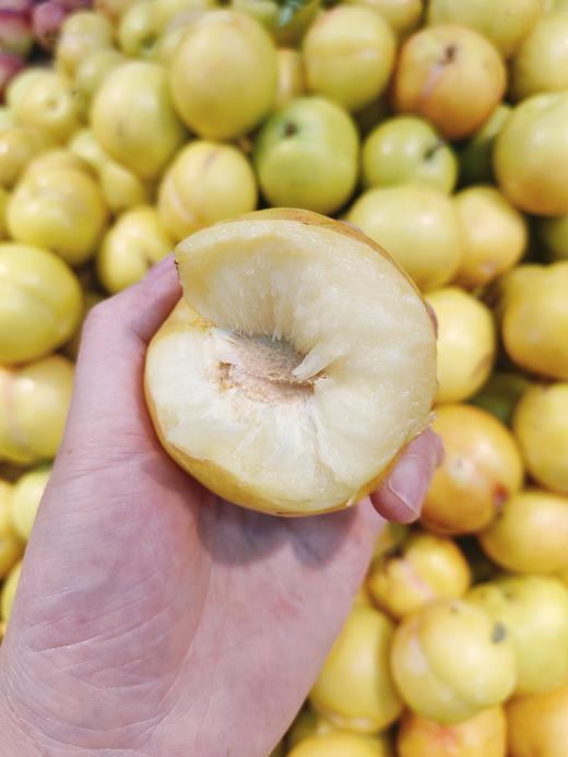 大众黄李子2斤 商品图2