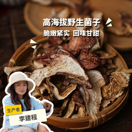 高原野生青冈菌 | 合作生产 * Plateau wild Cyclobalanopsis glauca | Partner Production 商品图0