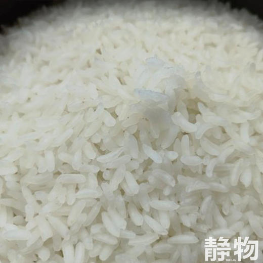 五常有机大米 2.5kg/袋【Y】｜四只瓢虫 商品图6