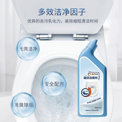 宝石花强效洁厕剂520g 商品图1