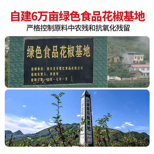 五丰黎红花椒油特麻特香265ml小瓶家用麻椒油四川正宗花椒油麻油LY 商品图2