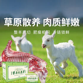 一价到底 【半只羊礼盒】精品原切乳羔羊 保留纯正羊本味  肉质鲜美 不腥不膻  简单烹饪 畅享美味（2.11-2.24停发）