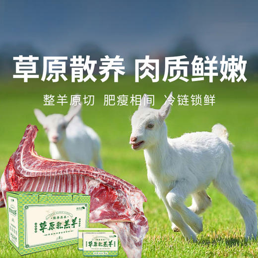 一价到底 【半只羊礼盒】精品原切乳羔羊 保留纯正羊本味  肉质鲜美 不腥不膻  简单烹饪 畅享美味（2.11-2.24停发） 商品图0