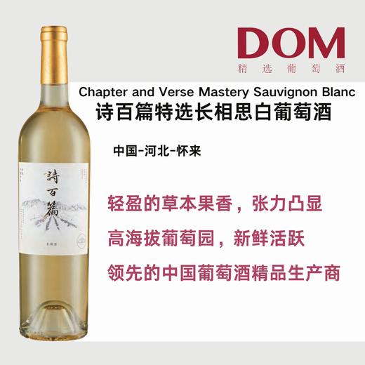 诗百篇特选长相思白葡萄酒 Chapter and Verse Mastery Sauvignon Blanc 商品图0