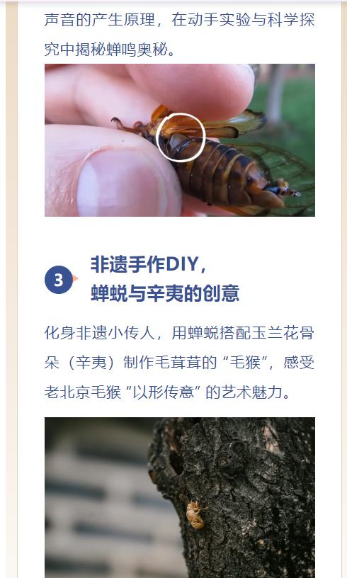 重庆自然资源科普馆丨垂緌饮清露 商品图4