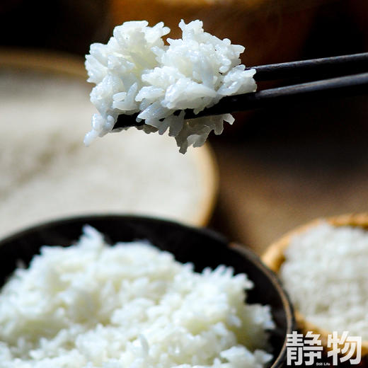 五常有机大米 2.5kg/袋【Y】｜四只瓢虫 商品图2
