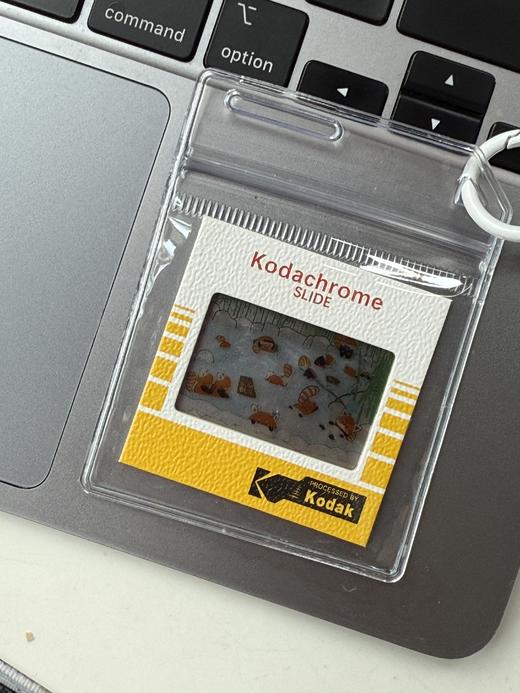 FUFU丨熊猫反转胶片挂件 商品图0