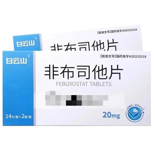 白云山 非布司他片 20mg*28片/盒 商品图0