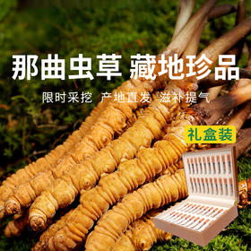  【西藏原产地直发 那曲虫草】高端滋补礼盒，一年只挖20天，能量满满每一天！