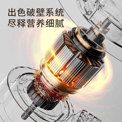 九阳免虑破壁机L18-P353 商品图3