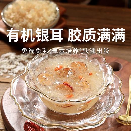 【古田有机银耳】“燕窝平替”，丝滑胶质口感，一碗润到心窝！下单即赠焖烧杯和小金勺！（2.12-2.26停发） 商品图0