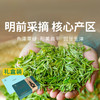  【西湖龙井礼盒两款】高山出好茶，源于核心区。色绿、香郁、味甘、形美。每一口，都是江南的春天。 商品缩略图0