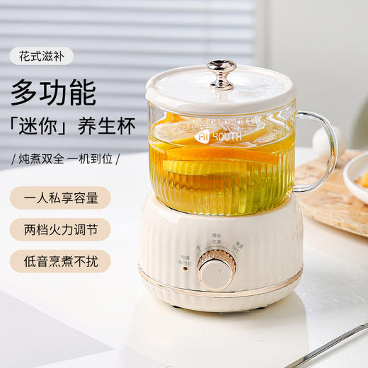 艾青春 多功能养生杯 MY-203 商品图0