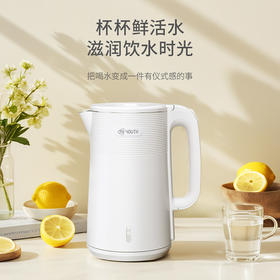 艾青春 电热水壶 AI-DSH806