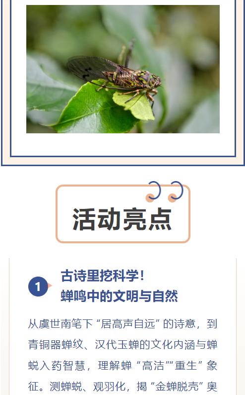 重庆自然资源科普馆丨垂緌饮清露 商品图2