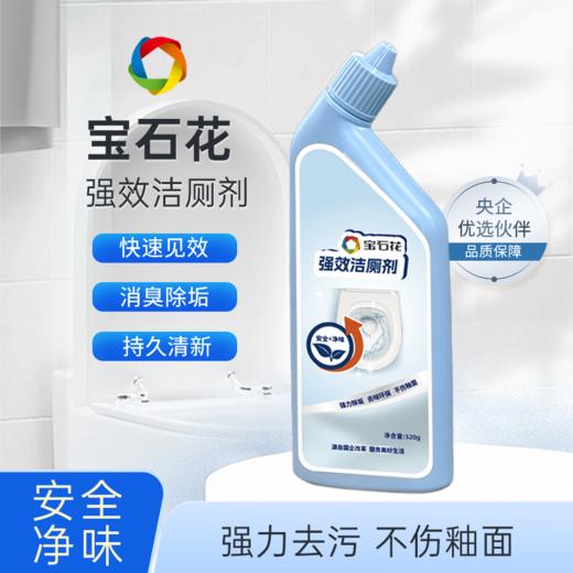 宝石花强效洁厕剂520g 商品图0