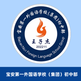 宝安第一外国语学校初中校徽（校徽以实物为准，下单后48小时内确认信息是否有误，48小时后拒绝退款，购买15个送5个）【预售：15天左右】