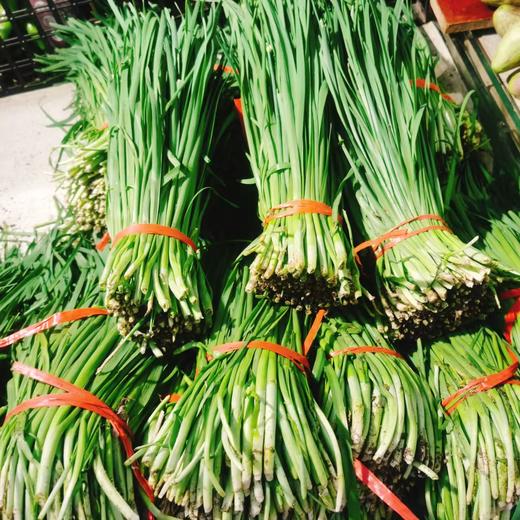 韭菜2斤 商品图0