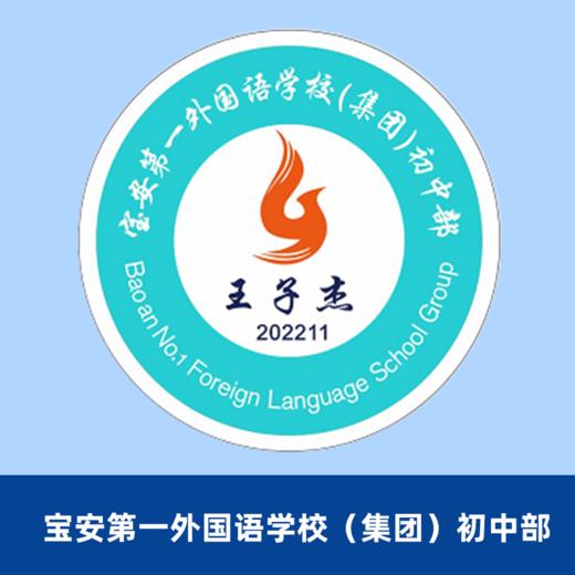 宝安第一外国语学校初中校徽（校徽以实物为准，下单后48小时内确认信息是否有误，48小时后拒绝退款，购买15个送5个）【预售：15天左右】 商品图2