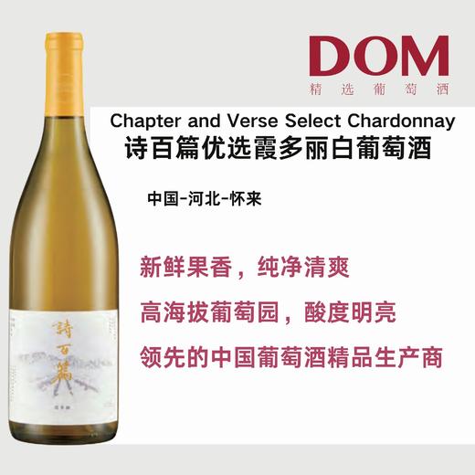 诗百篇优选霞多丽白葡萄酒 Chapter and Verse Select Chardonnay 商品图0
