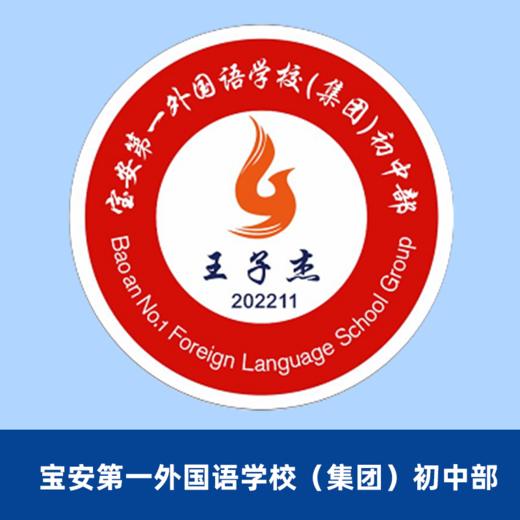 宝安第一外国语学校初中校徽（校徽以实物为准，下单后48小时内确认信息是否有误，48小时后拒绝退款，购买15个送5个）【预售：15天左右】 商品图1